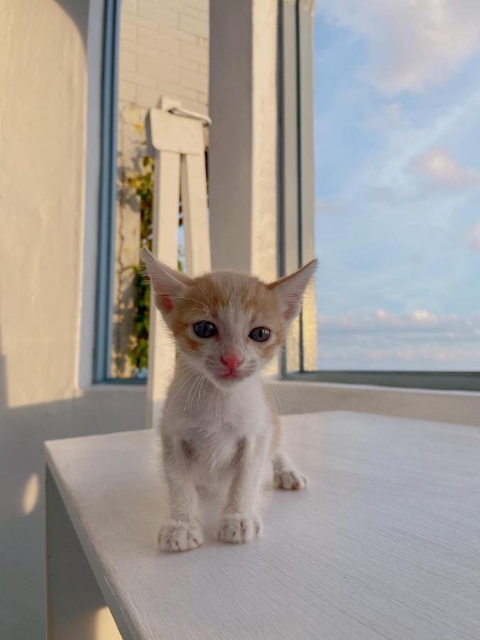 Kenting Met Hi Inn Cape Eluanbi ภายนอก รูปภาพ